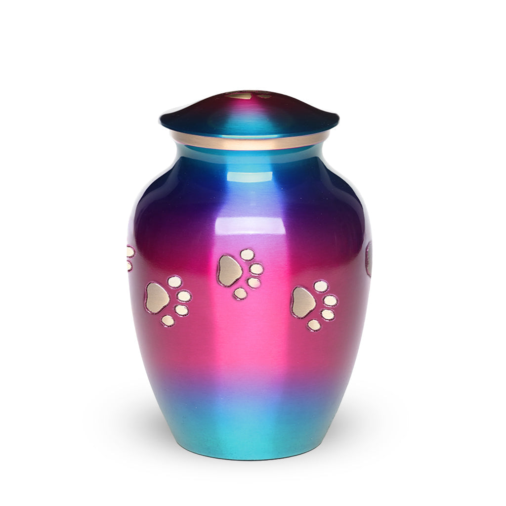 MEDIUM Brass Pet Urn - "Forever Paw" Rainbow Pink