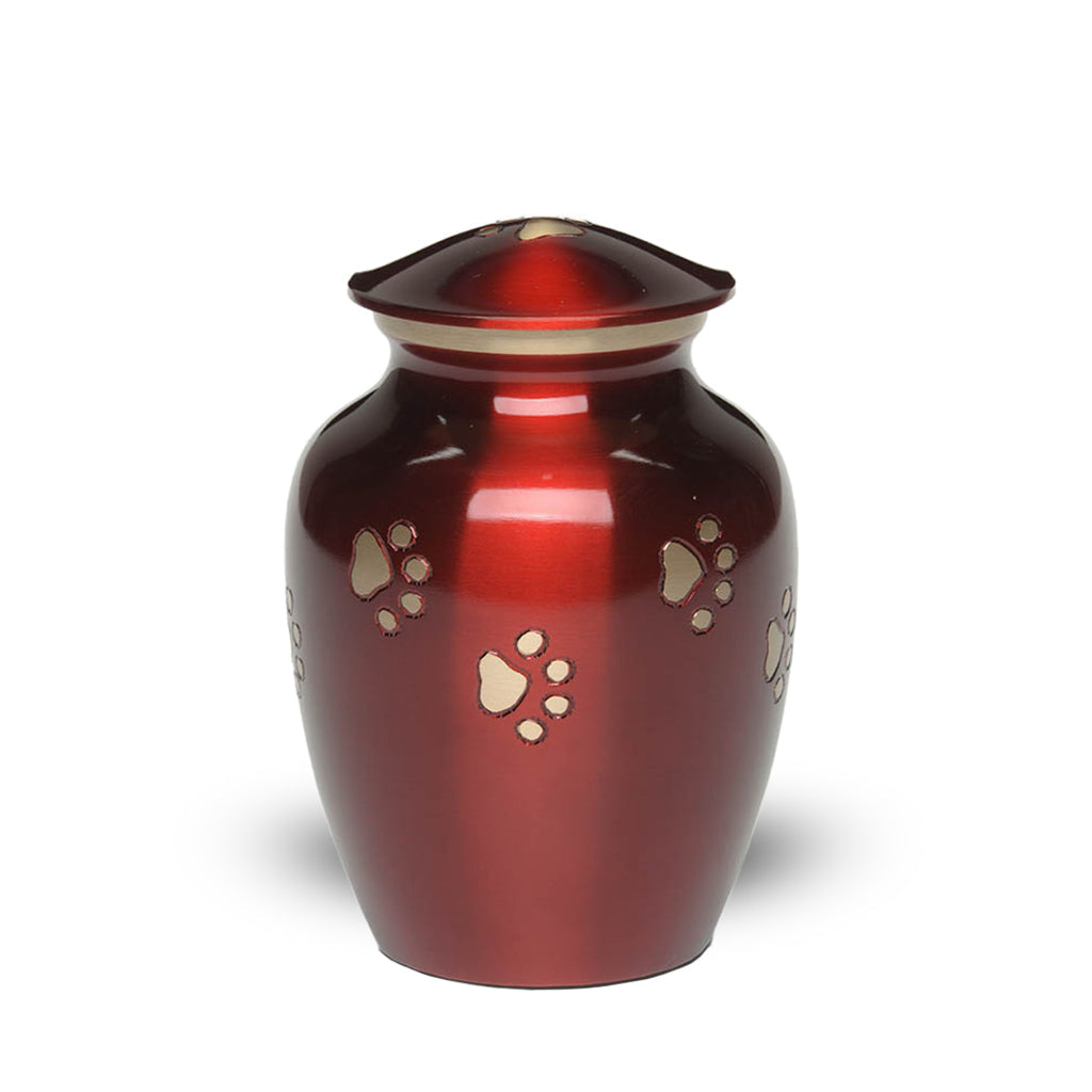 IMPERFECT SELECTION- SMALL Brass Pet Urn - "Forever Paw"