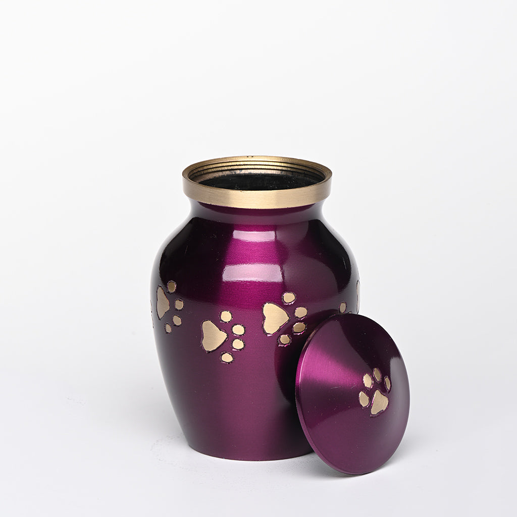 EXTRA SMALL Brass Pet Urn -1650- "Forever Paws" - Blue & Gold