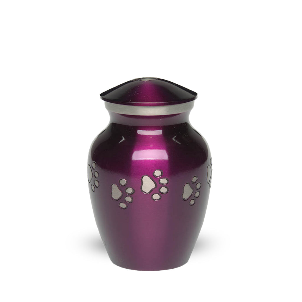 IMPERFECT SELECTION - EXTRA SMALL Brass Pet Urn - "Forever Paw"