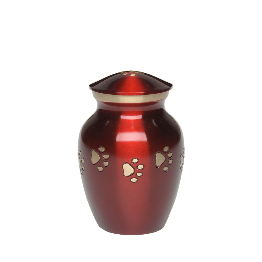 EXTRA SMALL Brass Pet Urn -1650- "Forever Paws" - Blue & Gold