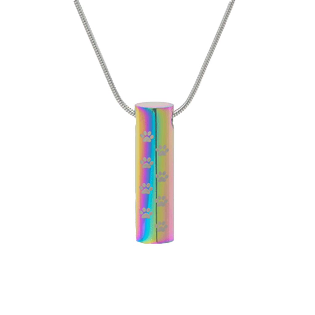 J-222 - Paw cylinder - Pendant with Chain - Rainbow