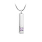 J-083 Silver-tone Bar with Birthstone simulated Gem - Pendant with Chain - June