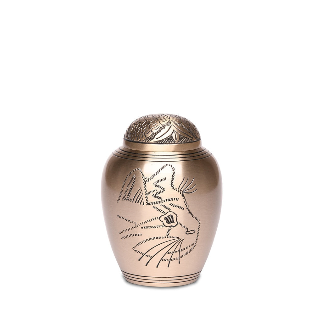 SMALL Brass Urn -1576- Engraved KITTY face Matte Gold