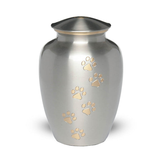 LARGE Brass Pet Urn - "Paws to Heaven" Pewter-Gold