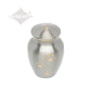 EXTRA SMALL Brass Pet Urn - "Paws to Heaven"