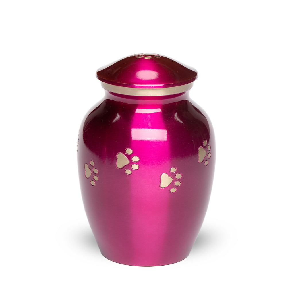 MEDIUM Brass Pet Urn - "Forever Paw" Magenta-Gold