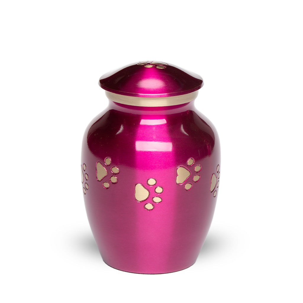 Magenta-Gold