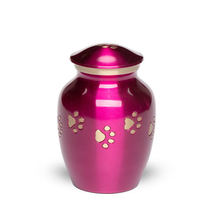Magenta-Gold