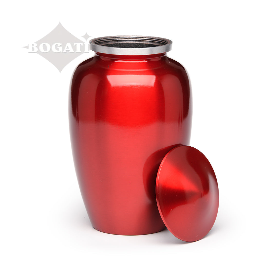 ADULT Classic Alloy urn - Color Perfection Silver-tone band - High-gloss