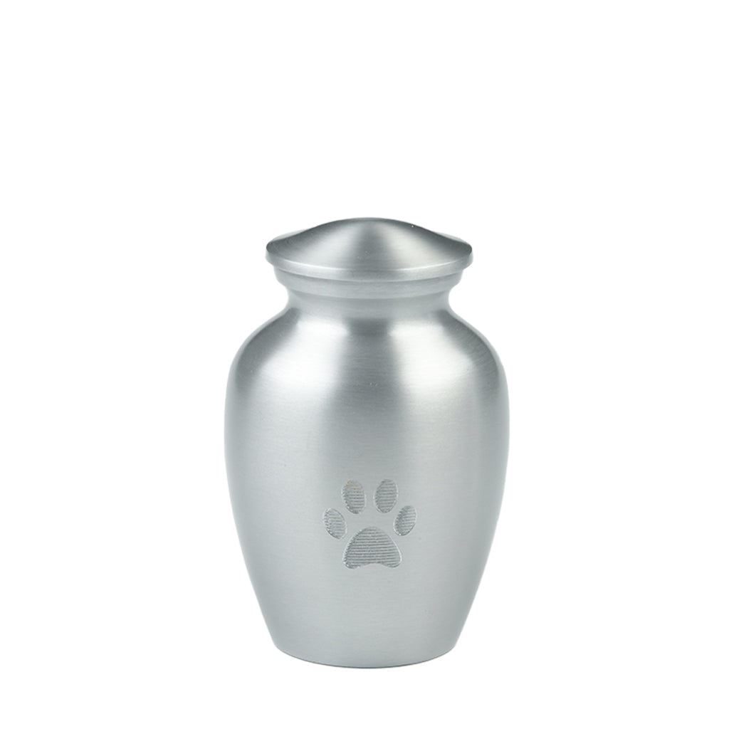 SMALL Classic Allow -AU CLB- with Engraved Paw Print