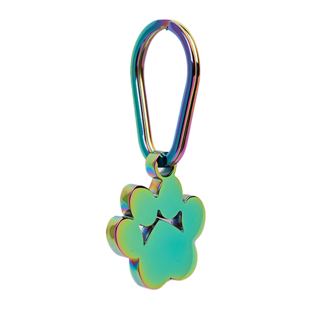 J-096- Large Pawprint Keychain - Rainbow