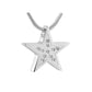 J-530-Star - Pendant with Chain