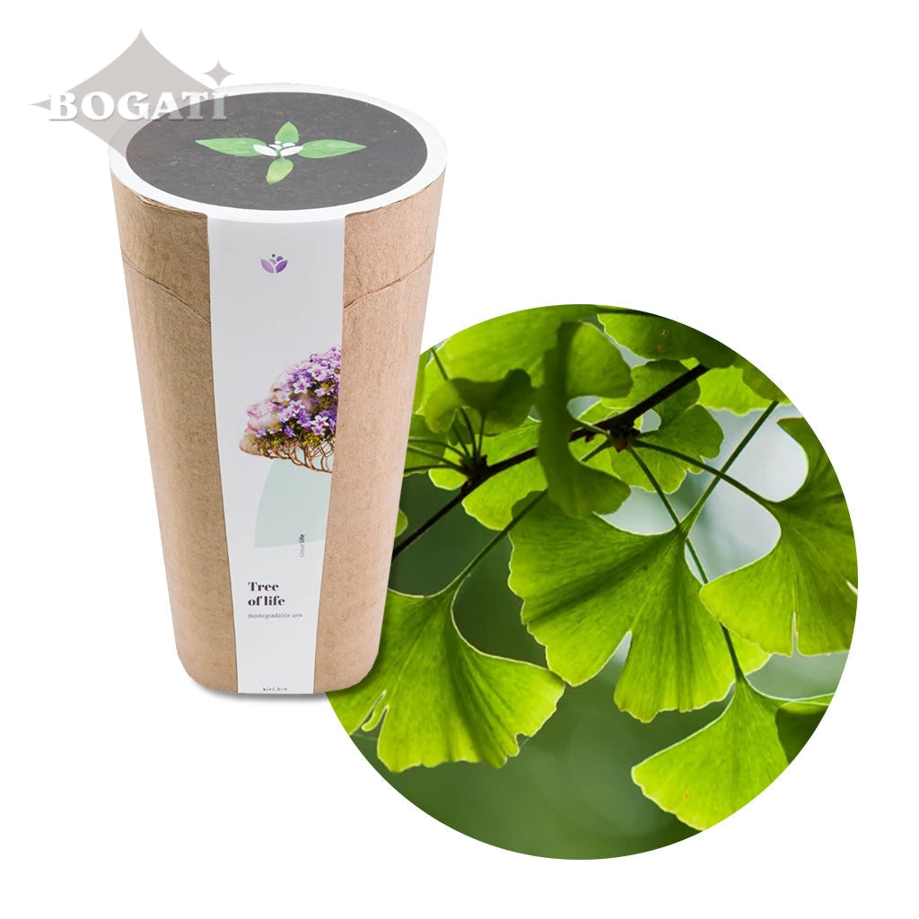 Kiri Biodegradable Urns - Plant a Tree
