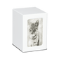 MEDIUM PY06 -White- Tabby Cat
