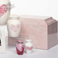Themes And Colors - Cherished Pink- Display Set#12